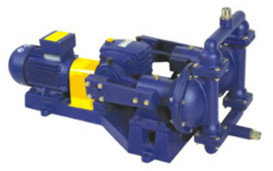 aoli pump